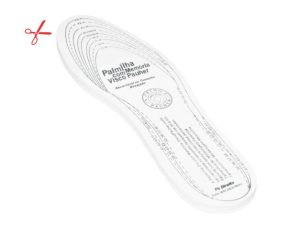 Palmilha Com Memória Visco Pauher